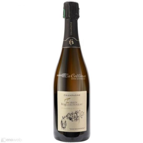 Fabien Bergeronneau, Dans mes Pensées Brut nature, 750 ml