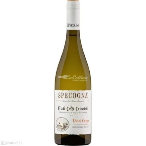 Specogna, Pinot grigio 2023, 750 ml