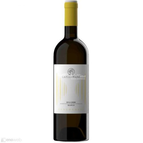 Caccia al Piano 1868, Bolgheri Lungocosta 2023, 750 ml