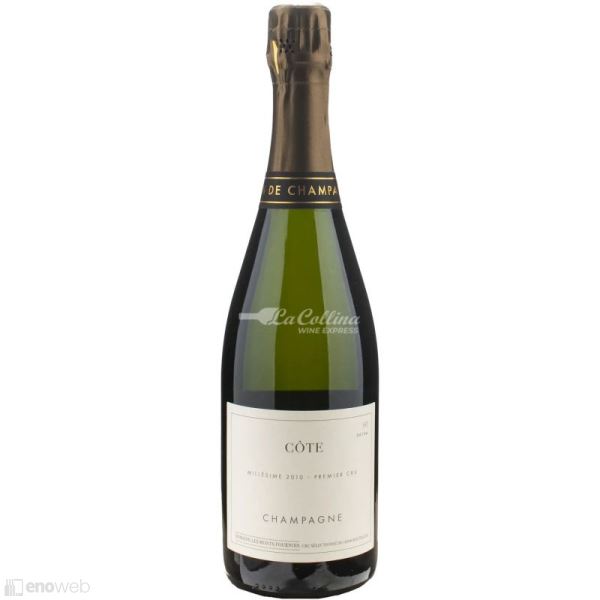 Les Monts Fournois, Côte Vertus Extra brut 1er Cru 2010, 750 ml