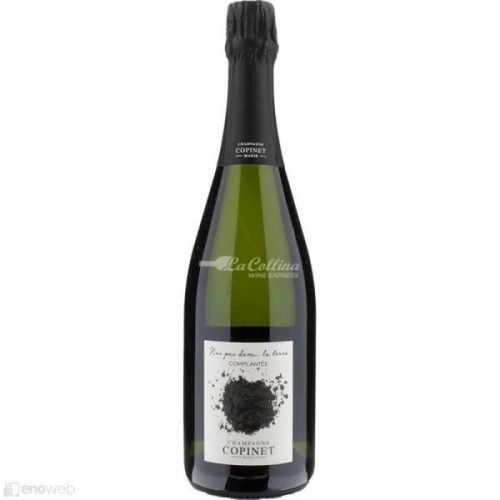 Marie Copinet, Nos pas dans … la terre Complantée Brut nature, 750 ml