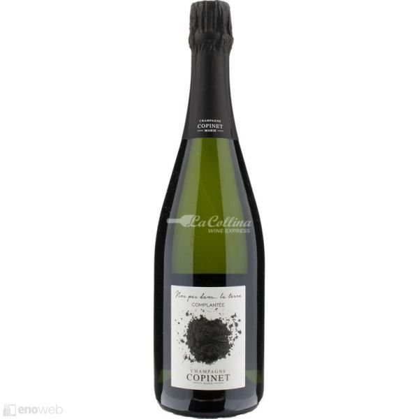 Marie Copinet, Nos pas dans … la terre Complantée Brut nature, 750 ml