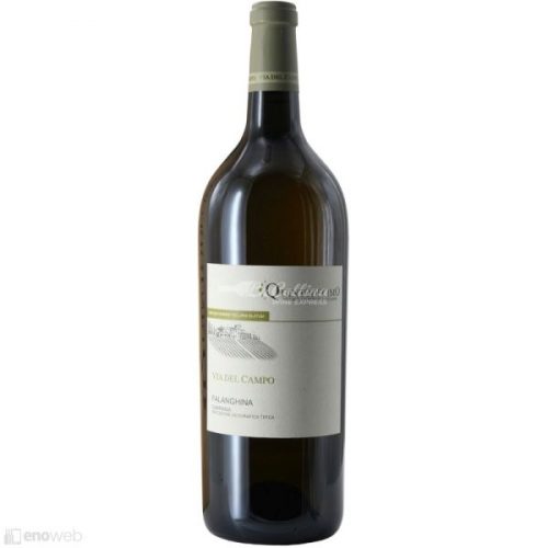 Quintodecimo, Falanghina Via del Campo 2024, 1500 ml