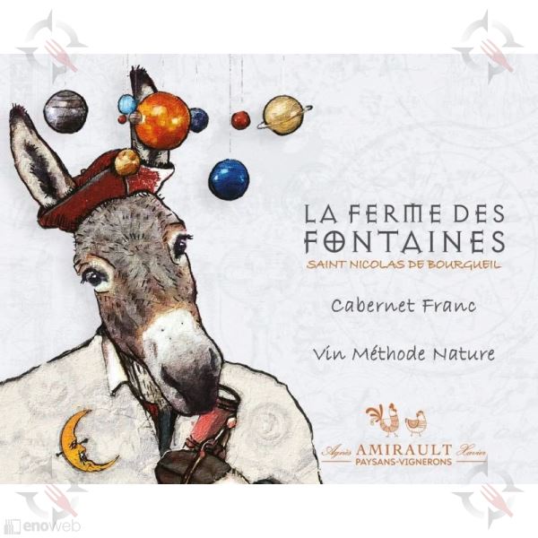 Amirault, Cabernet franc Saint Nicolas de Bourgueil La Ferme des Fontaines 2022, 750 ml - immagine 2